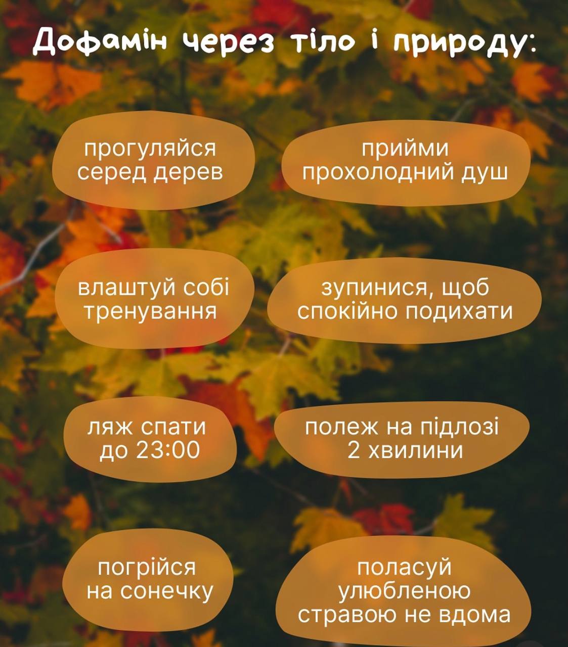 4photo 2025 10 08 19 33 18