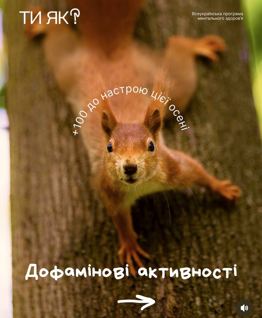 5photo 2025 10 08 19 33 23